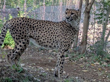 よこはま動物園ズーラシアに投稿された画像（2024/12/7）