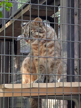 よこはま動物園ズーラシアに投稿された画像（2024/12/7）