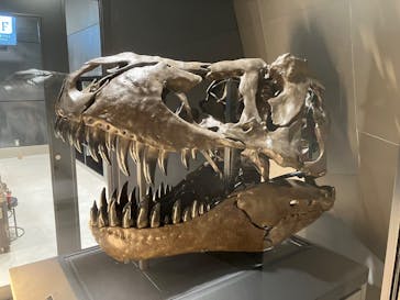 福井県立恐竜博物館に投稿された画像（2024/12/7）