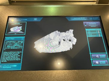 福井県立恐竜博物館に投稿された画像（2024/12/7）