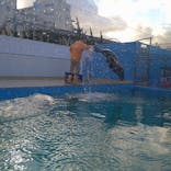 竹島水族館に投稿された画像（2024/12/8）