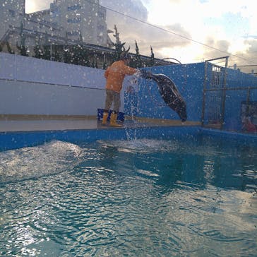 竹島水族館に投稿された画像（2024/12/7）