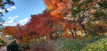 NESTA RESORT KOBE（ネスタリゾート神戸）に投稿された画像（2024/12/7）