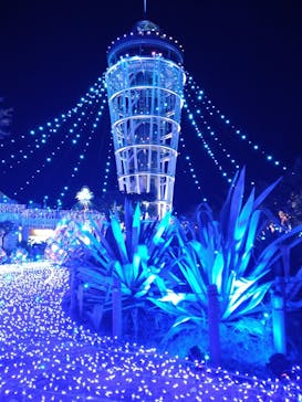 江の島シーキャンドルに投稿された画像（2024/12/7）