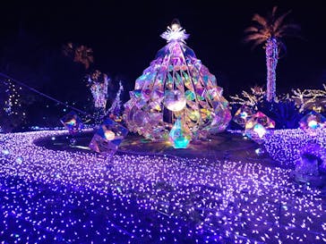 江の島シーキャンドルに投稿された画像（2024/12/7）