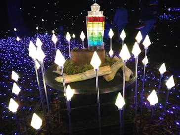 江の島シーキャンドルに投稿された画像（2024/12/7）