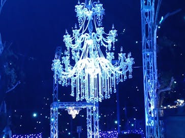 江の島シーキャンドルに投稿された画像（2024/12/7）