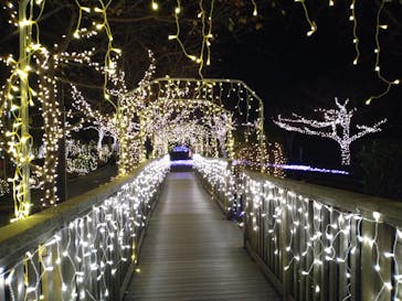 江の島シーキャンドルに投稿された画像（2024/12/7）