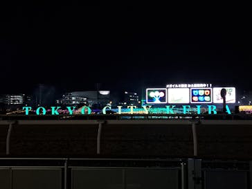 東京メガイルミに投稿された画像（2024/12/7）