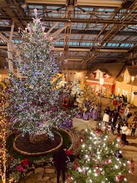 安城産業文化公園デンパークに投稿された画像（2024/12/7）