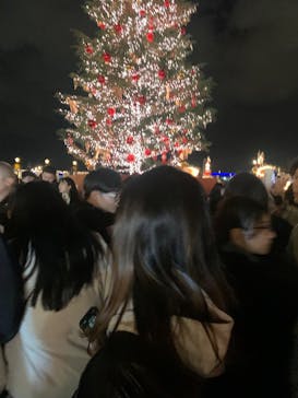 Christmas Market in 横浜赤レンガ倉庫 2025に投稿された画像（2024/12/8）