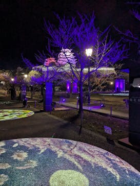 姫路城ライトアップイベント　鏡花水月　@姫路城三の丸広場に投稿された画像（2024/12/8）