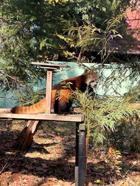 千葉市動物公園に投稿された画像（2024/12/8）