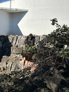 千葉市動物公園に投稿された画像（2024/12/8）