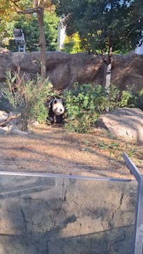 恩賜上野動物園に投稿された画像（2024/12/8）