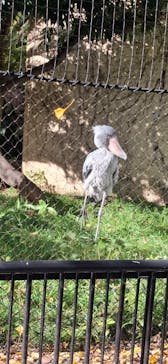 恩賜上野動物園に投稿された画像（2024/12/8）