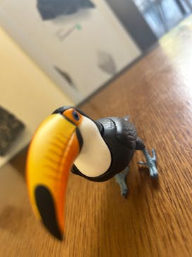 特別展「鳥 ～ゲノム解析が解き明かす新しい鳥類の系統～」国立科学博物館に投稿された画像（2024/12/8）