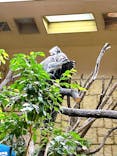 名古屋市東山動植物園に投稿された画像（2024/12/8）