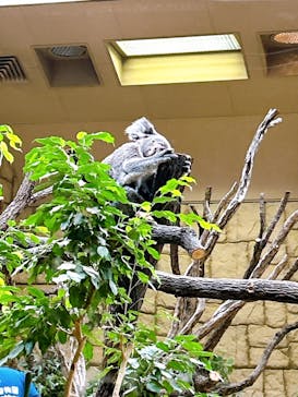 名古屋市東山動植物園に投稿された画像（2024/12/8）
