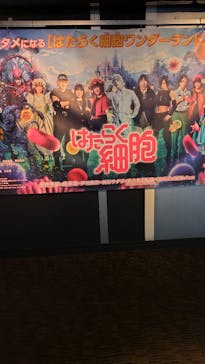 ローソン・ユナイテッドシネマ／ユナイテッド・シネマ／シネプレックスに投稿された画像（2024/12/8）