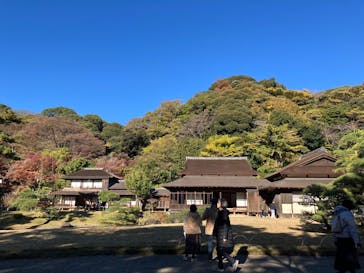 三溪園に投稿された画像（2024/12/8）