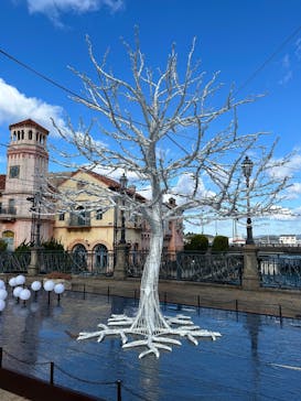 ポルトヨーロッパに投稿された画像（2024/12/8）