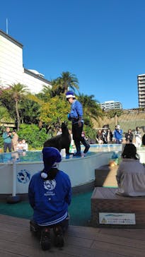 サンシャイン水族館に投稿された画像（2024/12/7）