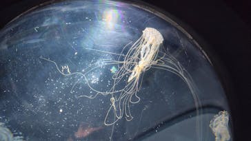 サンシャイン水族館に投稿された画像（2024/12/7）