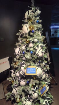 サンシャイン水族館に投稿された画像（2024/12/7）