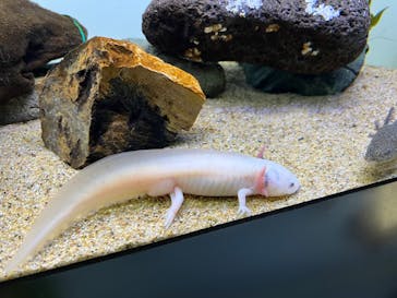 サンシャイン水族館に投稿された画像（2024/12/8）