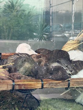 サンシャイン水族館に投稿された画像（2024/12/8）