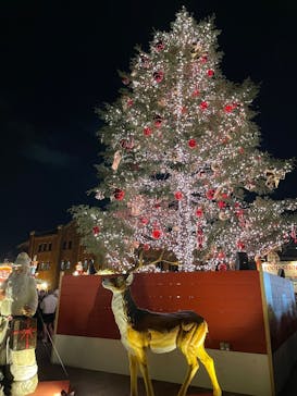 Christmas Market in 横浜赤レンガ倉庫 2025に投稿された画像（2024/12/8）