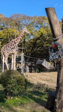 天王寺動物園に投稿された画像（2024/12/8）