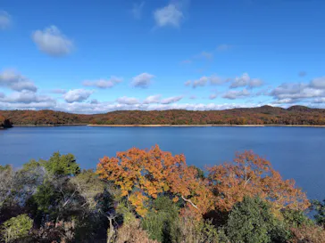 博物館 明治村に投稿された画像（2024/12/8）