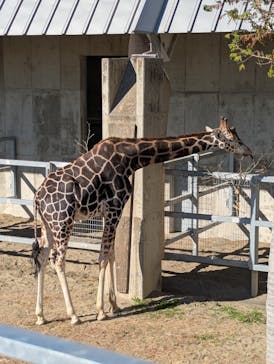 霞ケ浦 どうぶつとみんなのいえに投稿された画像（2024/12/8）