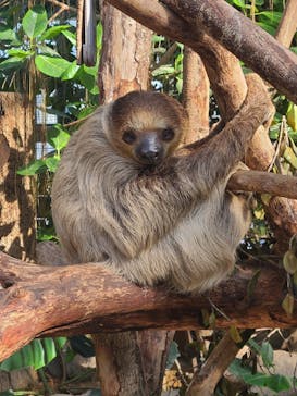 神戸どうぶつ王国に投稿された画像（2024/12/8）