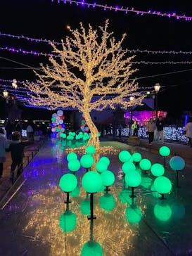 フェスタ・ルーチェに投稿された画像（2024/12/8）