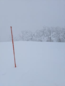 阿仁スキー場に投稿された画像（2024/12/8）