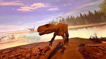 福井県立恐竜博物館に投稿された画像（2024/12/8）