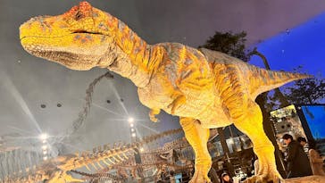 福井県立恐竜博物館に投稿された画像（2024/12/8）
