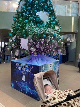アクアワールド茨城県大洗水族館に投稿された画像（2024/12/8）