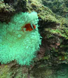 武藤潜水に投稿された画像（2024/12/8）