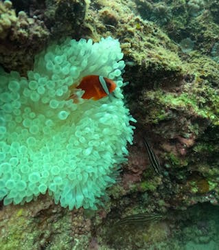 武藤潜水に投稿された画像（2024/12/8）