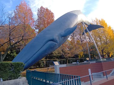 国立科学博物館に投稿された画像（2024/12/8）