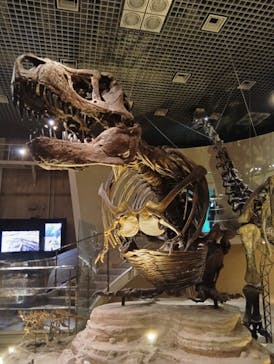 国立科学博物館に投稿された画像（2024/12/8）