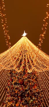 名古屋市東山動植物園に投稿された画像（2024/12/8）