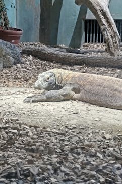 名古屋市東山動植物園に投稿された画像（2024/12/8）