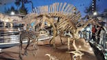 福井県立恐竜博物館に投稿された画像（2024/12/8）