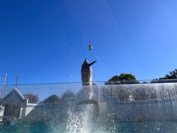 しながわ水族館に投稿された画像（2024/12/8）