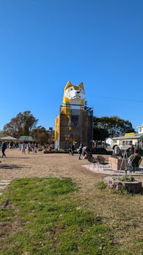 つくばわんわんランドに投稿された画像（2024/12/8）